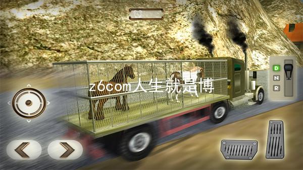z6com人生就是博