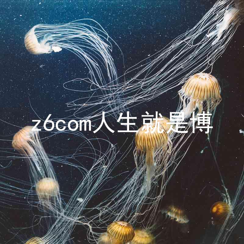 z6com人生就是博